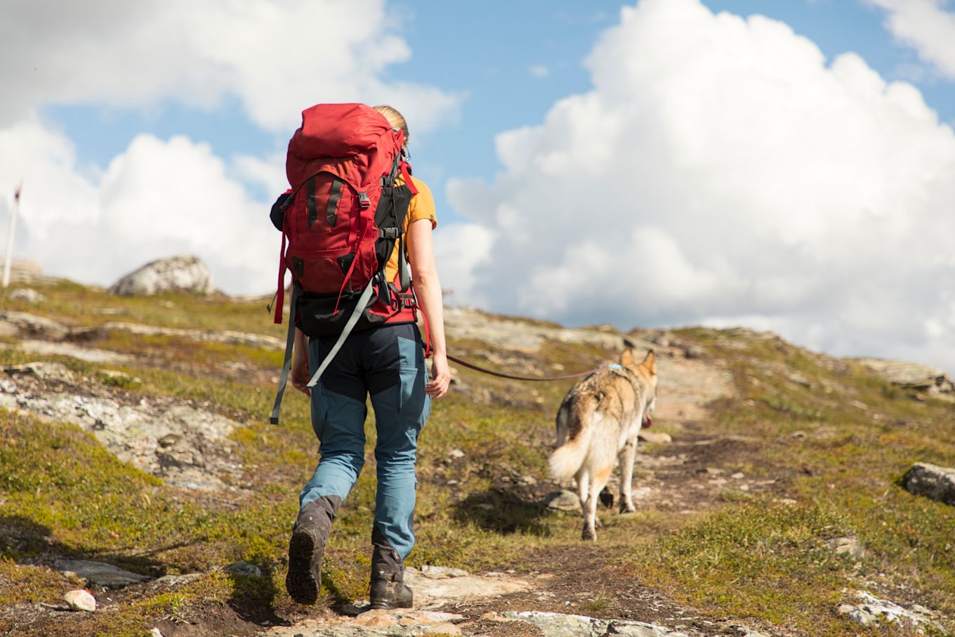 En person är ute och vandrar på ett berg med en stor röd ryggsäck, på stigen framför går en hund.