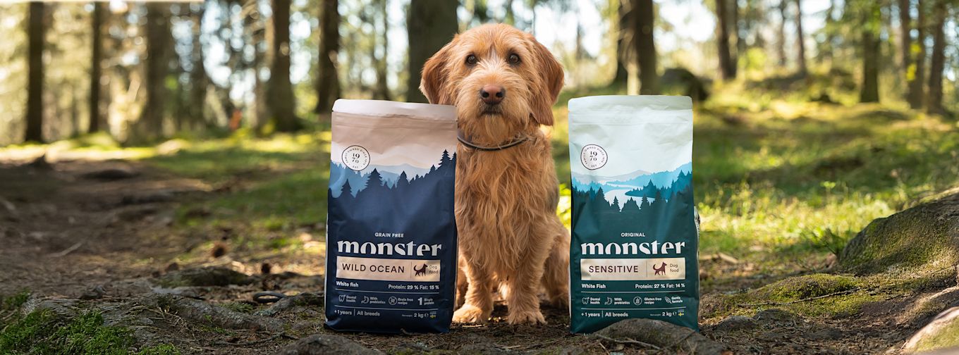Hund sitter i skogen mellan två påsar Monster hundmat, Wild Ocean och Sensitive, båda med blå och gröna förpackningar.