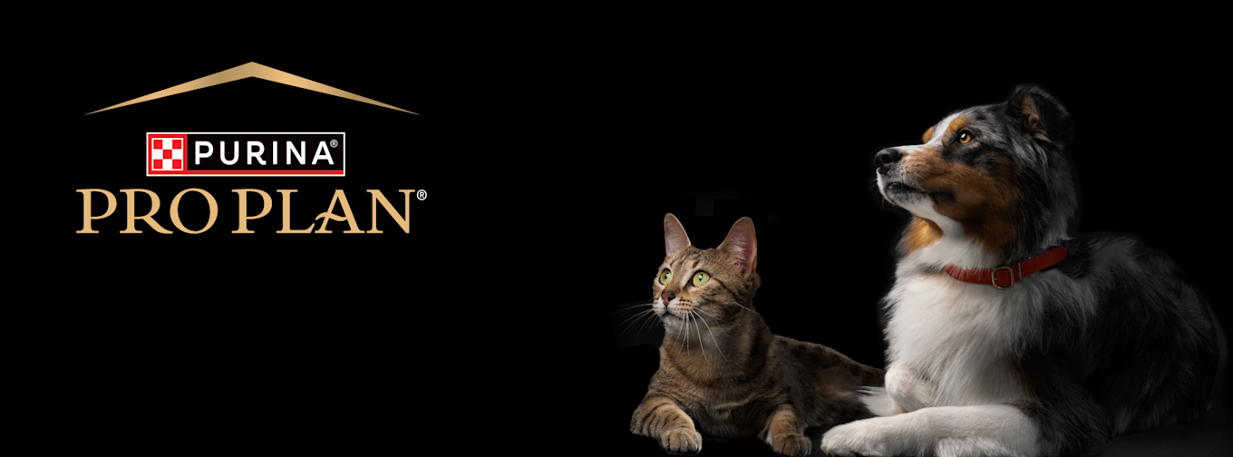 Purina Pro Plan banner.